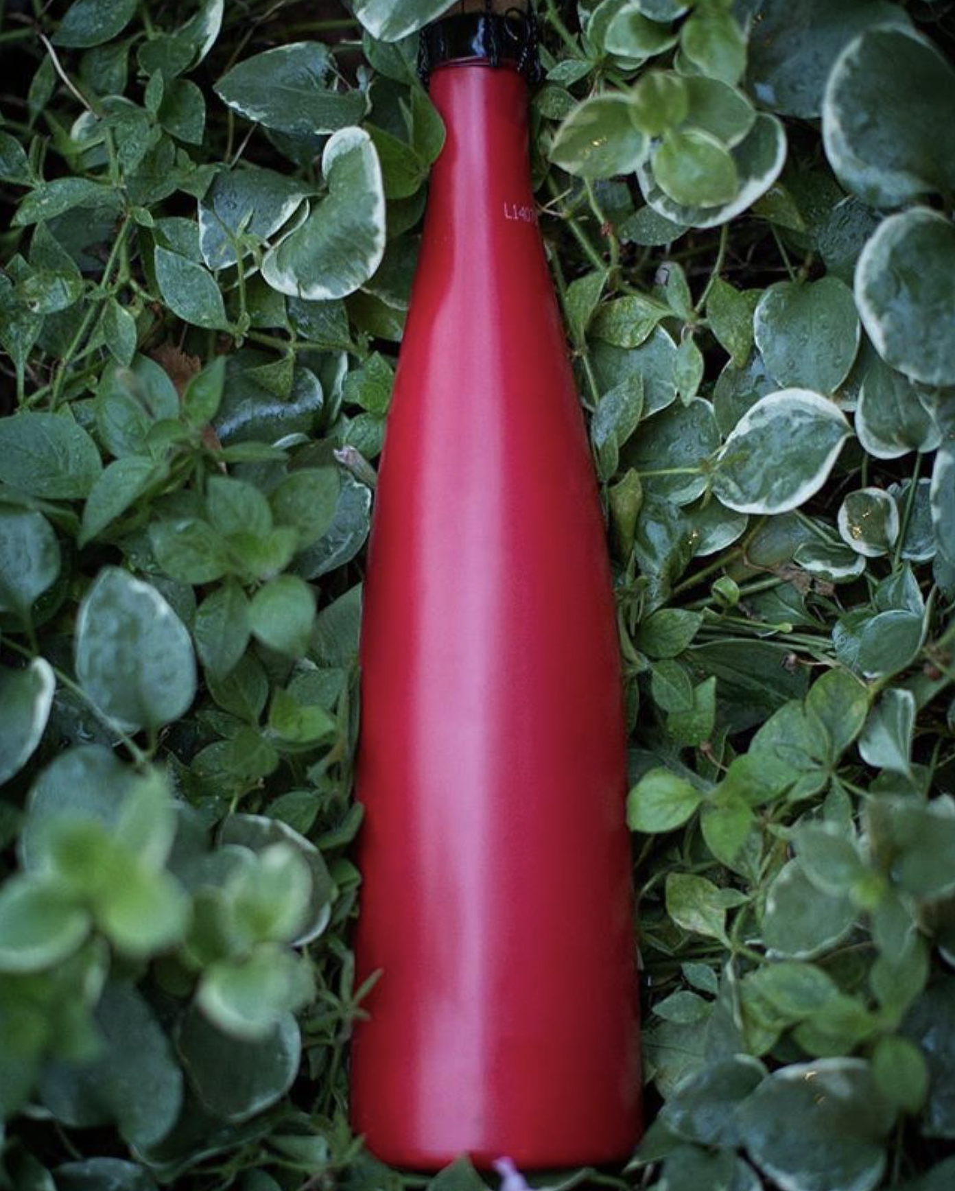 CHRIS LYONS WINE
